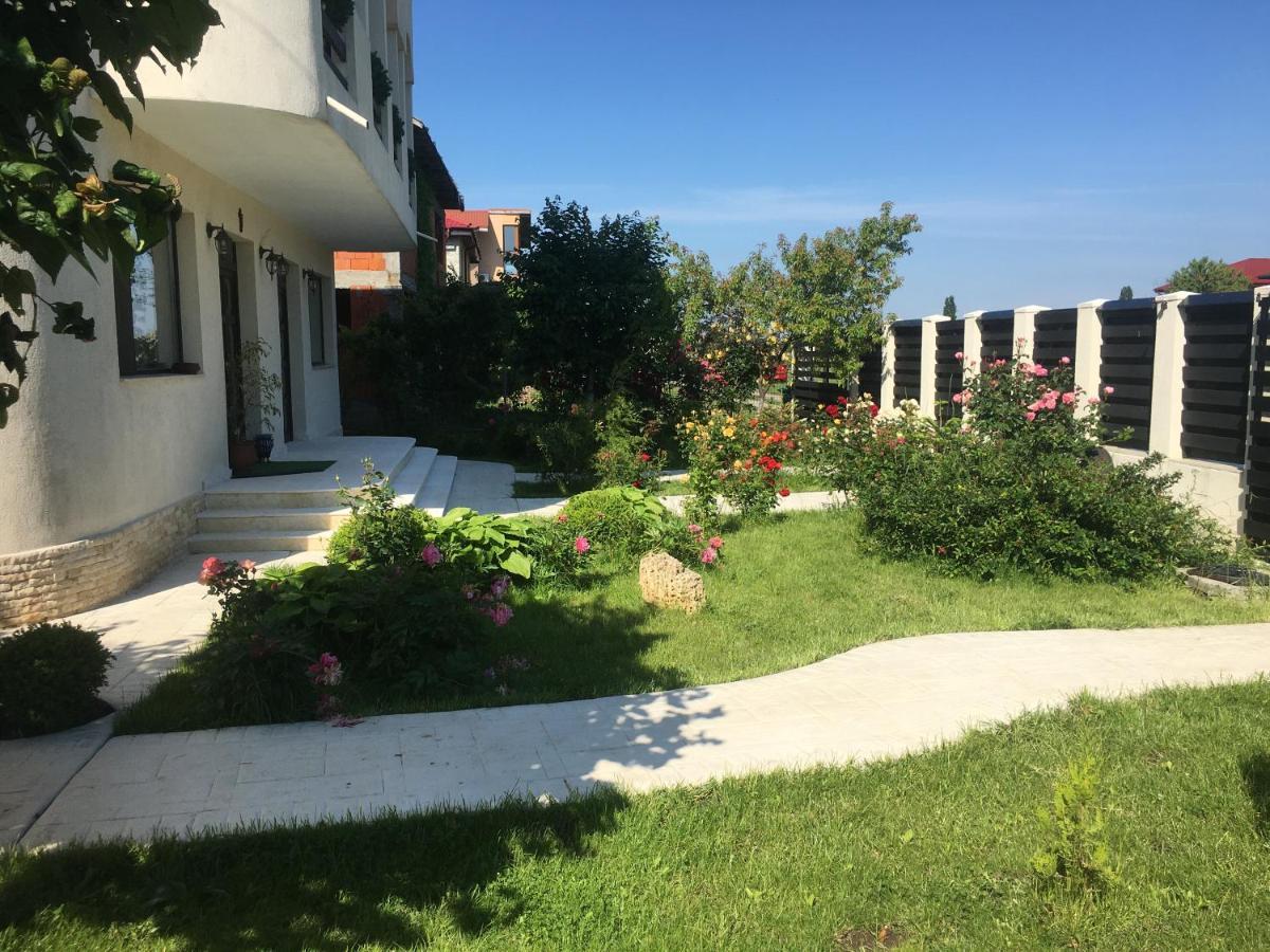 Vila Zoe Bucharestairport&Therme&Parking Otopeni Buitenkant foto