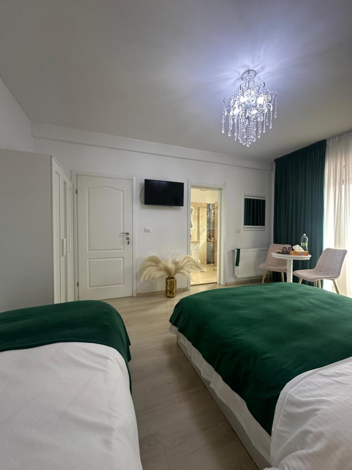 Vila Zoe Bucharestairport&Therme&Parking Otopeni Buitenkant foto