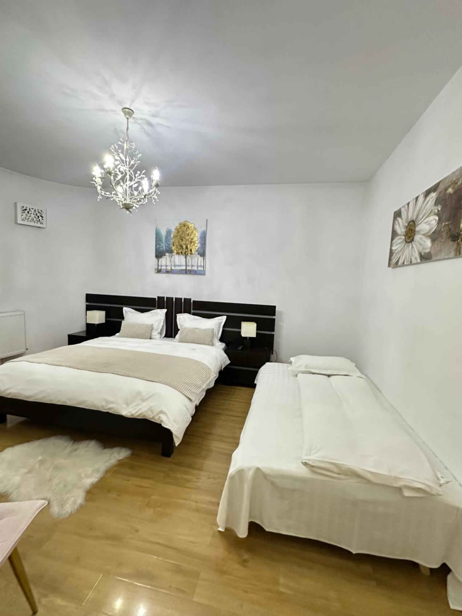 Vila Zoe Bucharestairport&Therme&Parking Otopeni Buitenkant foto