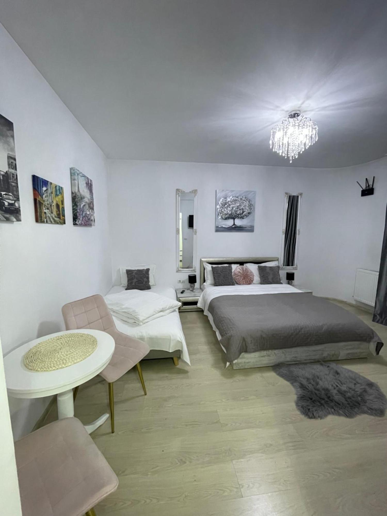 Vila Zoe Bucharestairport&Therme&Parking Otopeni Buitenkant foto