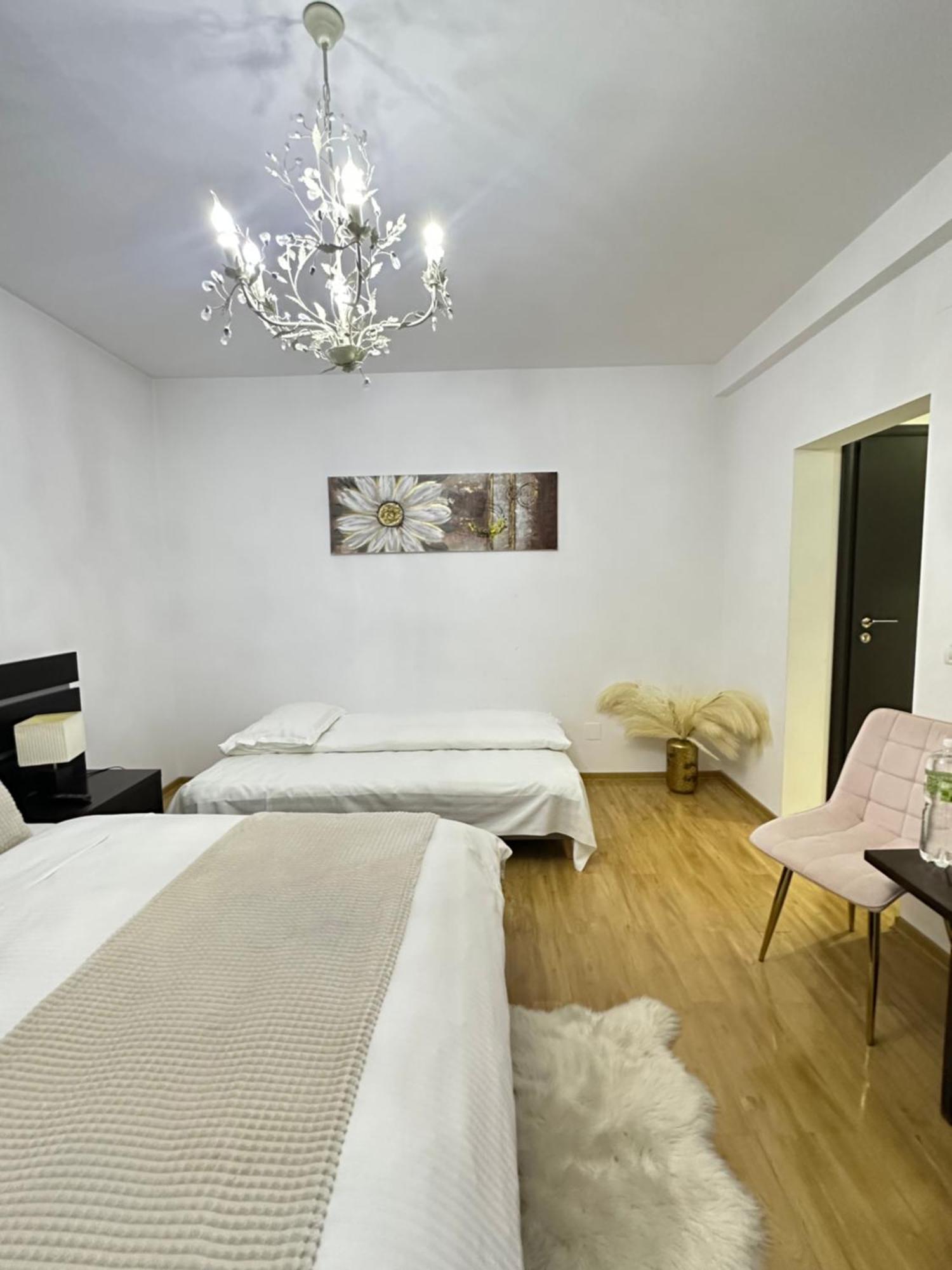 Vila Zoe Bucharestairport&Therme&Parking Otopeni Buitenkant foto